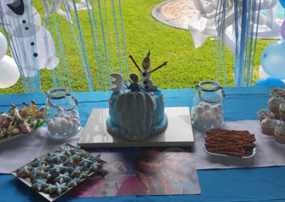 Frozen Party Theme by One Dell of a Party