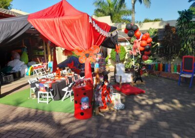 Miraculous Party Theme