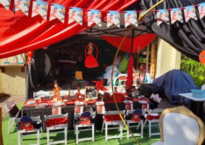 Miraculous Party Theme