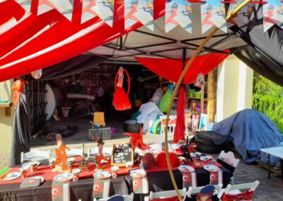 Miraculous Party Theme