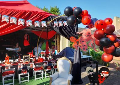 Miraculous Party Theme