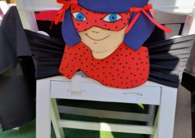 Miraculous Party Theme