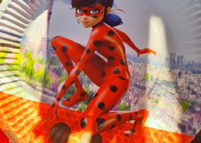 Miraculous Party Theme