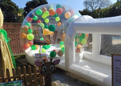 bouncy bubble house by one dell of a party
