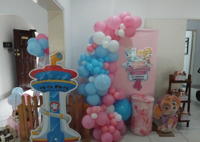 Paw patrol by one dell of a party