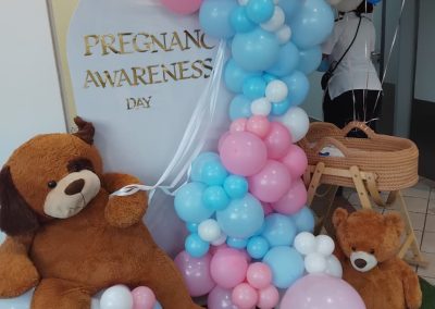 balloon decoration by one dell of a party