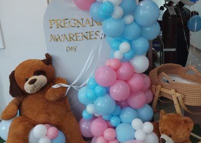 balloon decoration by one dell of a party