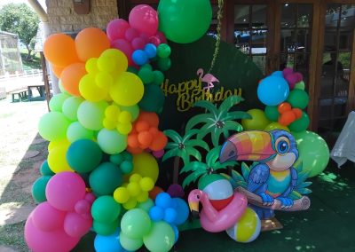 Balloon decorations by one dell of a party