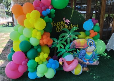 Balloon decorations by one dell of a party