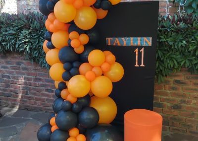 Balloon decorations by one dell of a party