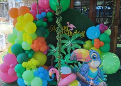 Balloon decorations by one dell of a party