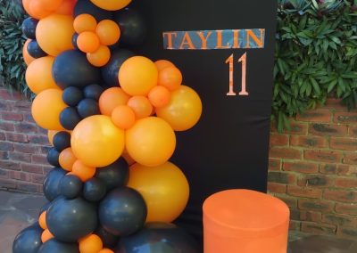 Balloon decorations by one dell of a party
