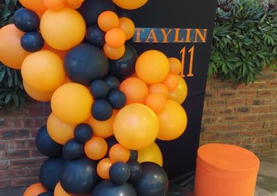 Balloon decorations by one dell of a party