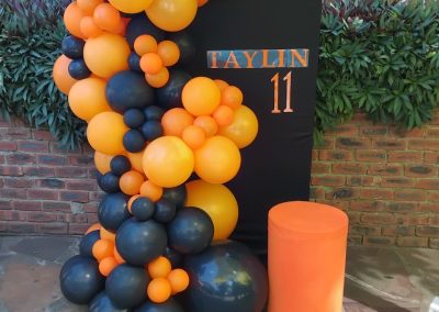 Balloon decorations by one dell of a party