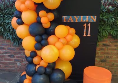 Balloon decorations by one dell of a party