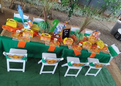 Lion King Party