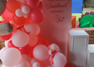 Backdrops by one dell of a party