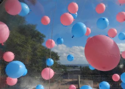 bubblehouse inflatable by one dell of a party