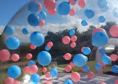 bubblehouse inflatable by one dell of a party