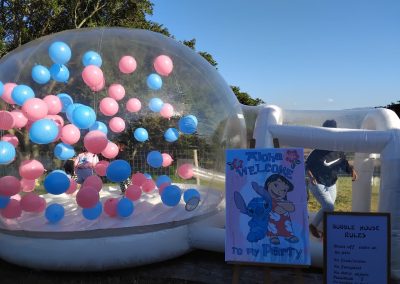 Lilo & stitch party theme by one dell of a party