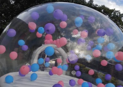 bubblehouse inflatable by one dell of a party