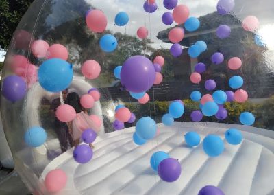 bubblehouse inflatable by one dell of a party