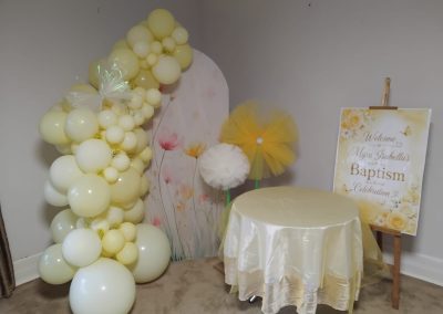 back drops done by one dell of a party