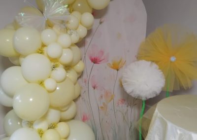 back drops done by one dell of a party