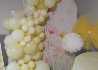back drops done by one dell of a party